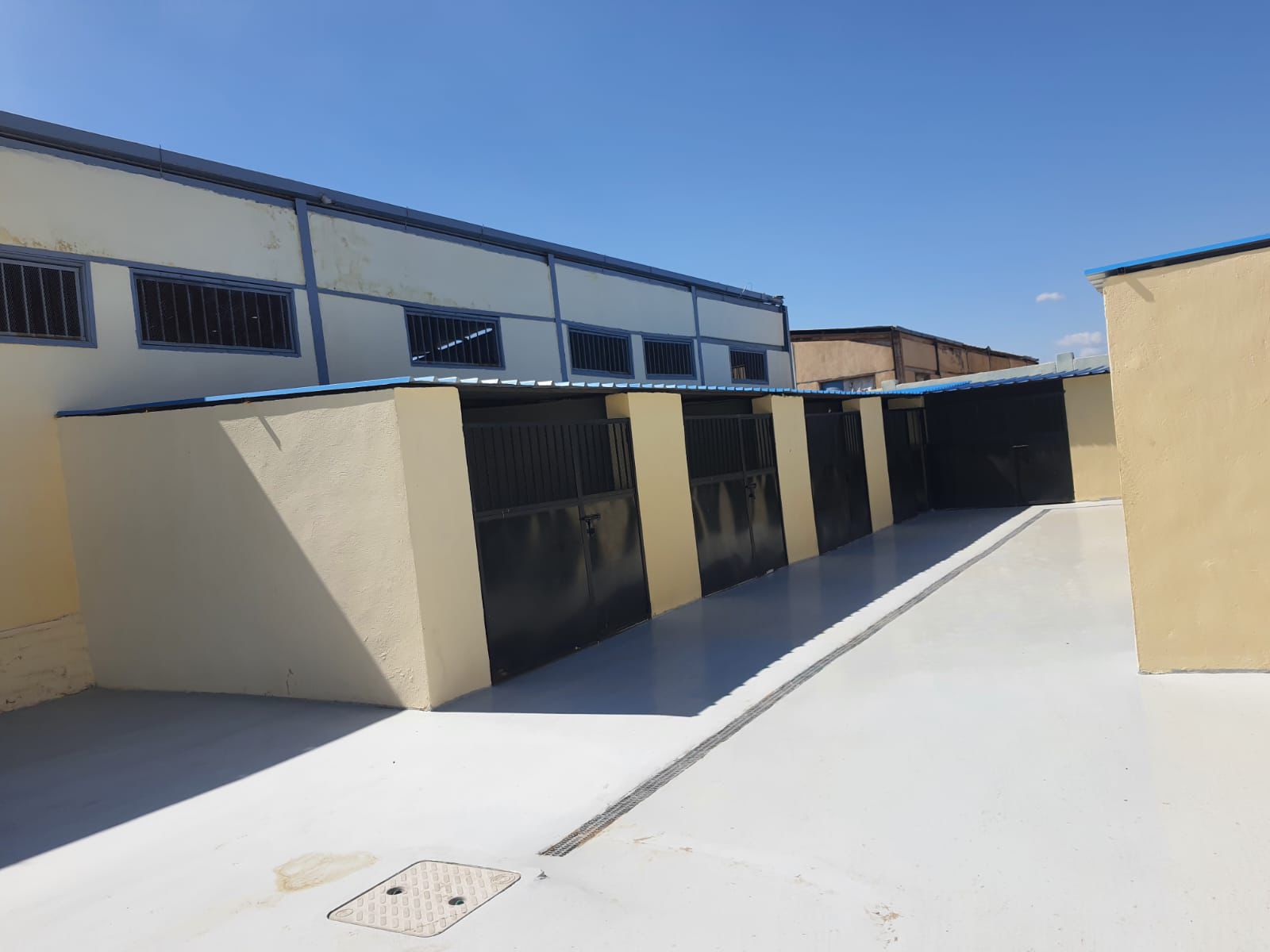 شارتر إيواء للكلاب الضالة