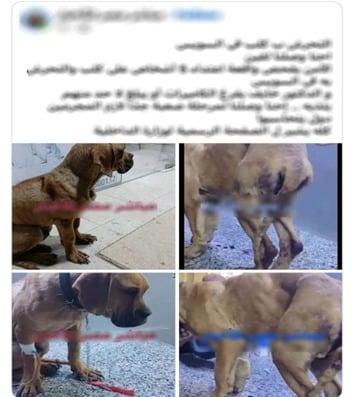 WhatsApp Image 2026-03-11 at 10.24.27 PM