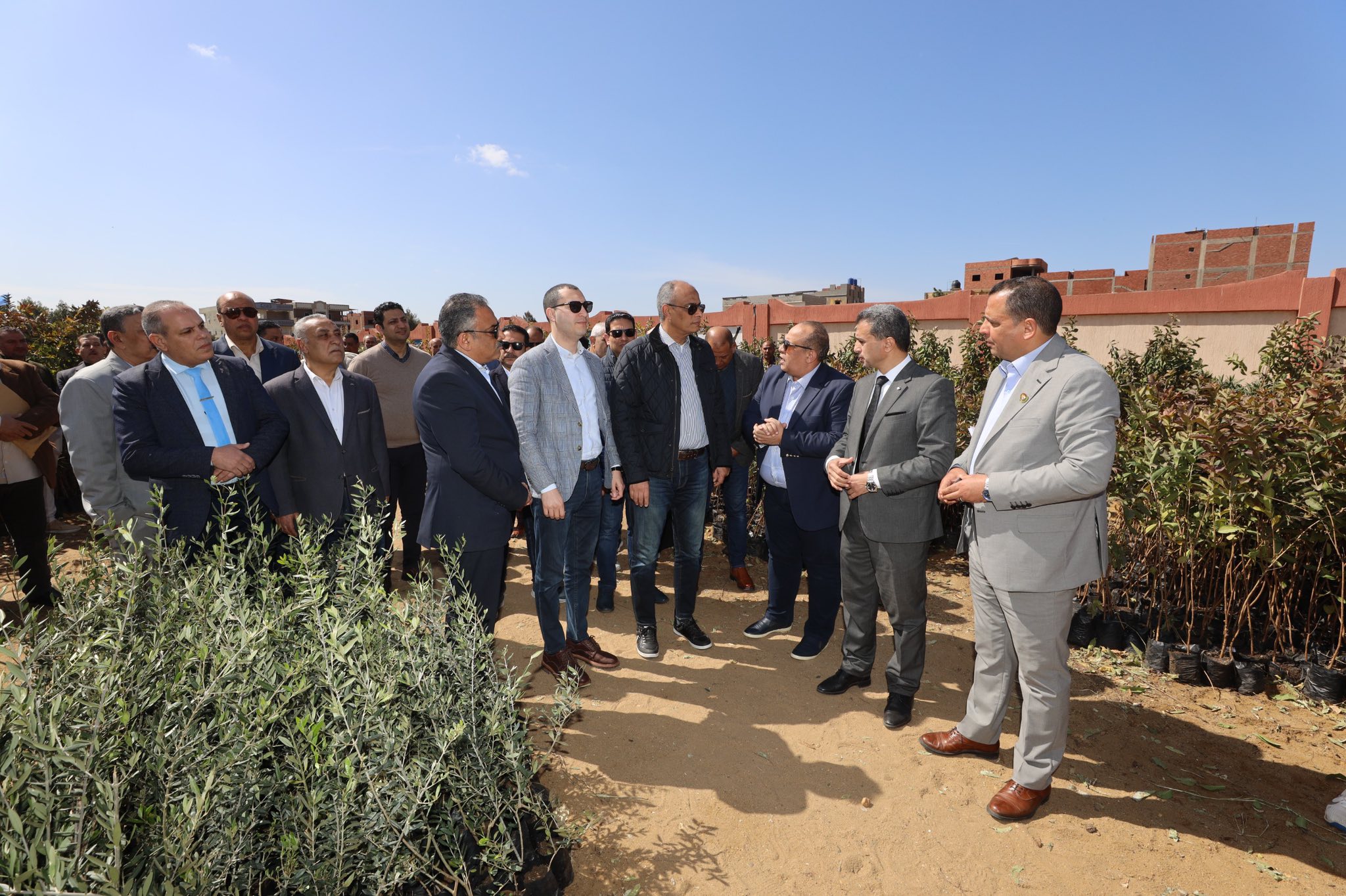 محافظ كفر الشيخ يتفقد الاشجار