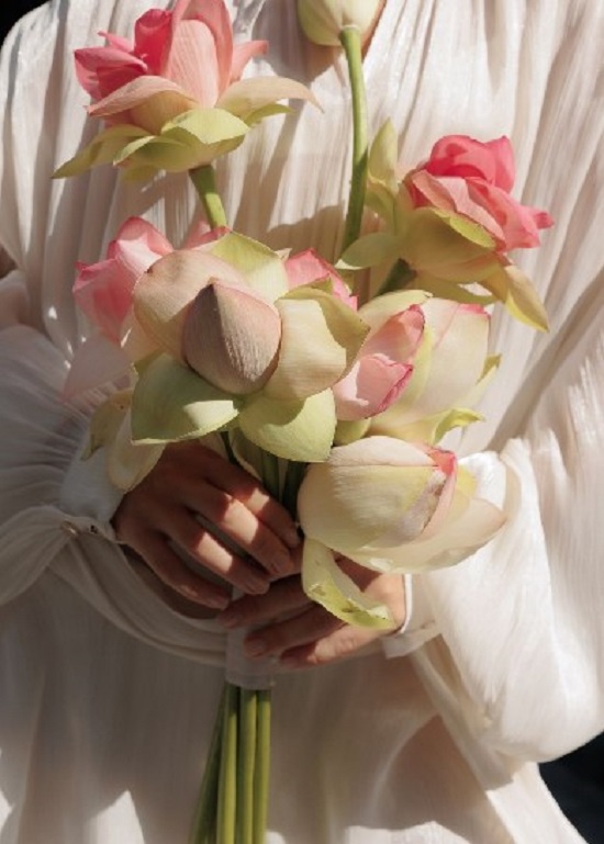 زهرة اللوتس