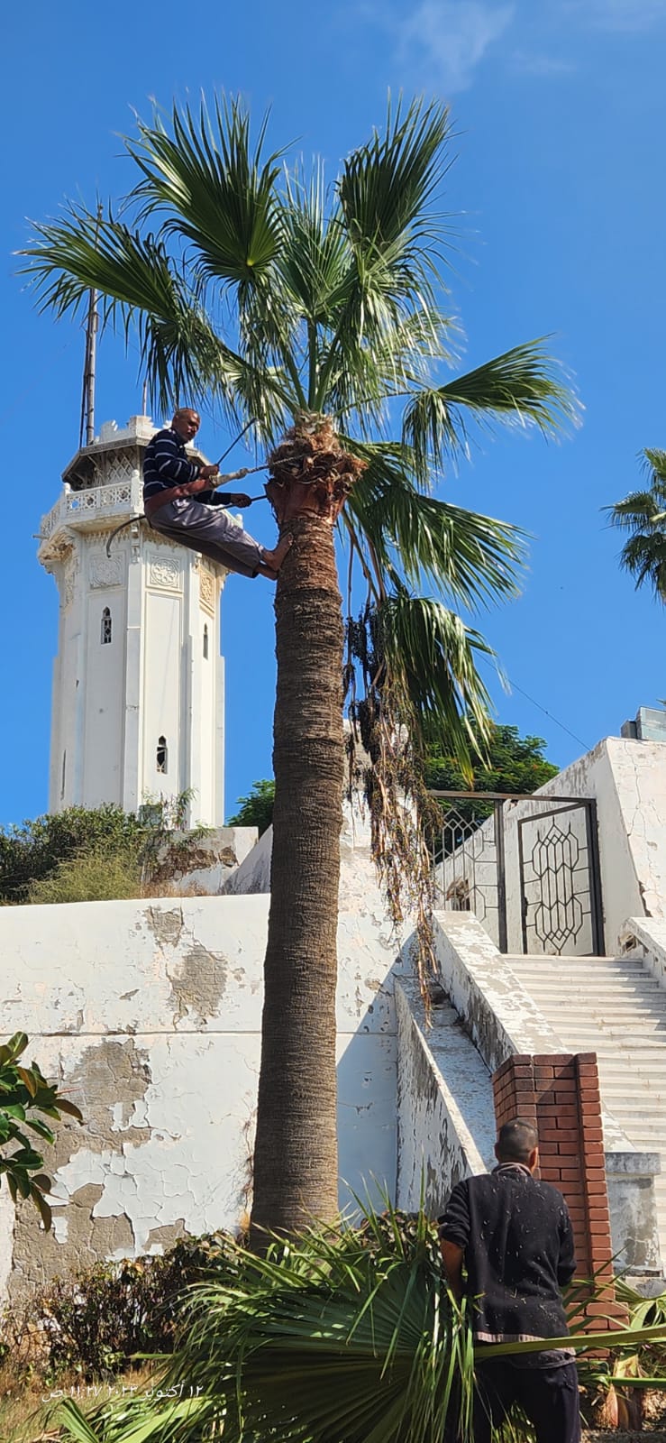 برج كوم الناضورة 