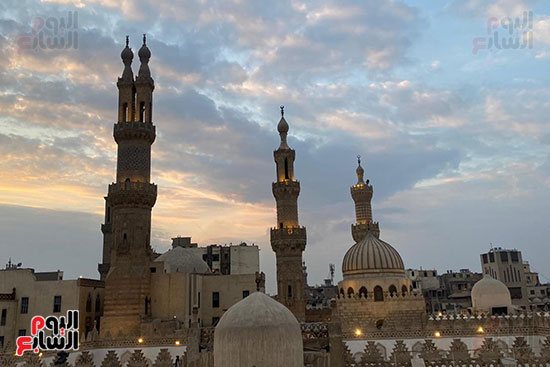 أفطار الأزهر الشريف (10)