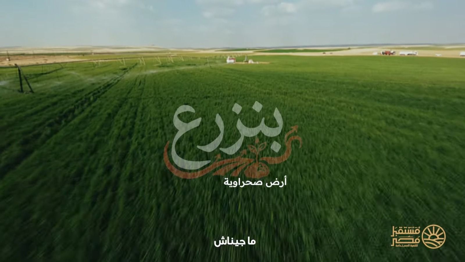 جهاز مستقبل مصر  (4)