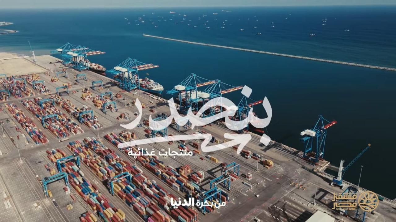 جهاز مستقبل مصر  (2)