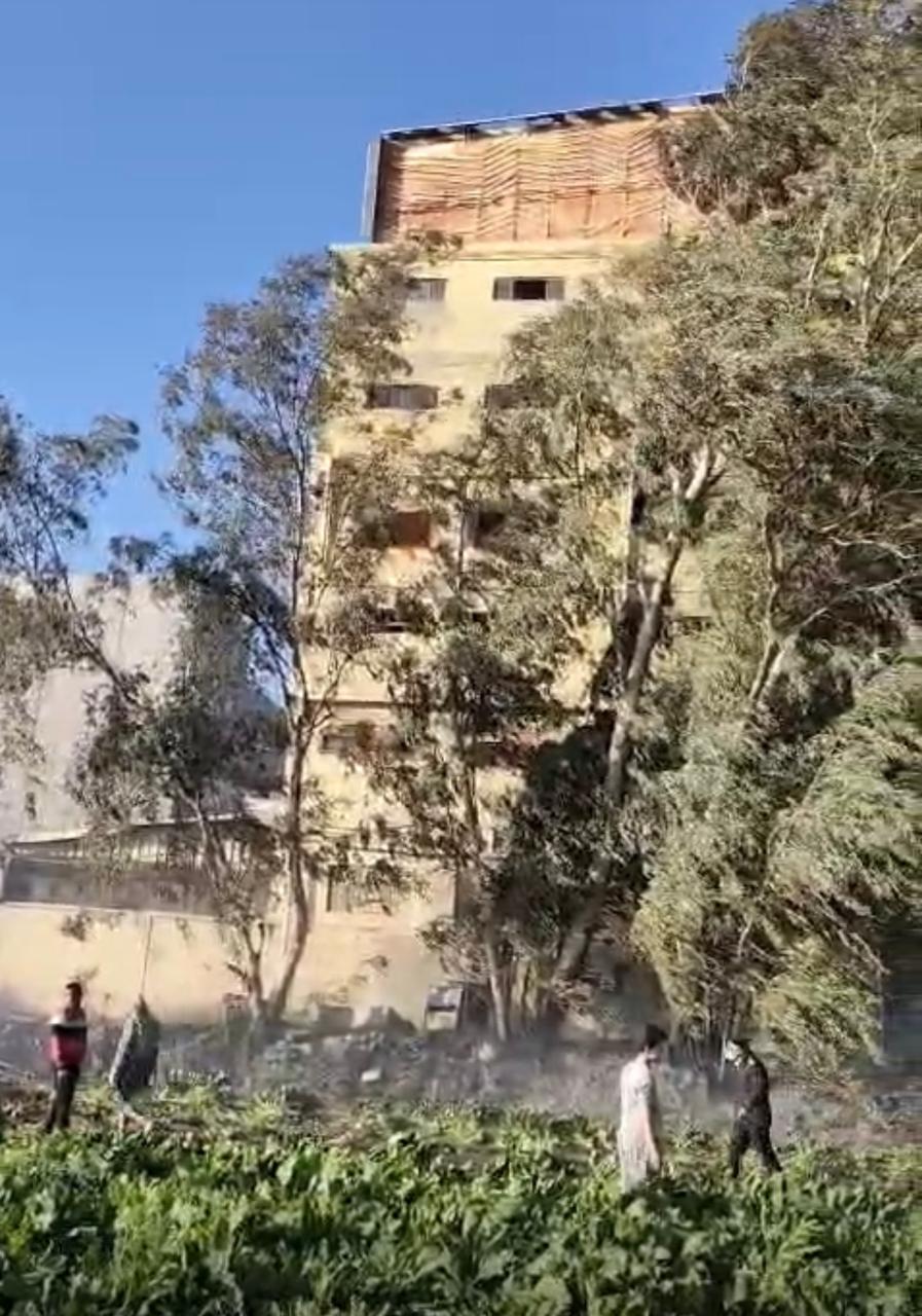 السنة اللهب داخل جزء من المصنع السنة اللهب داخل جزء من المصنع