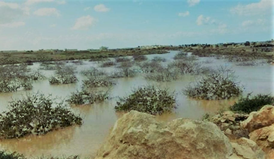 امطار شتوية - مطروح