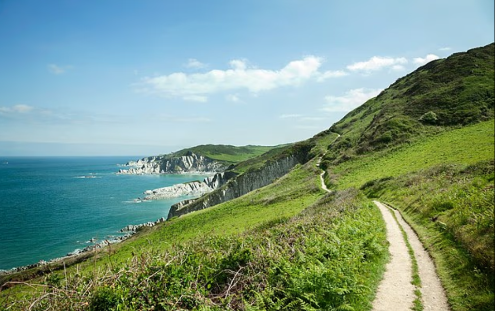 المسار الساحلى