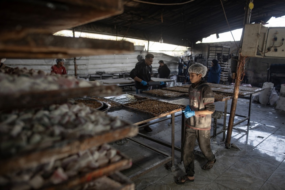 صناعة الحلويات فى غزة (5)