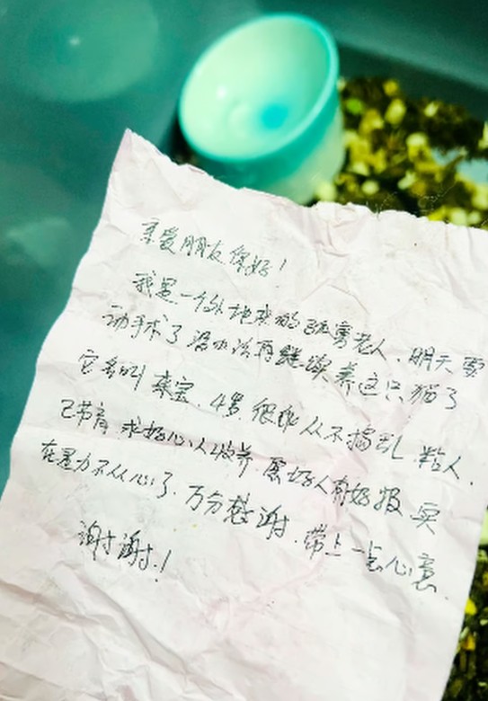 رسالة عثر عليها بجانب القطة رسالة عثر عليها بجانب القطة