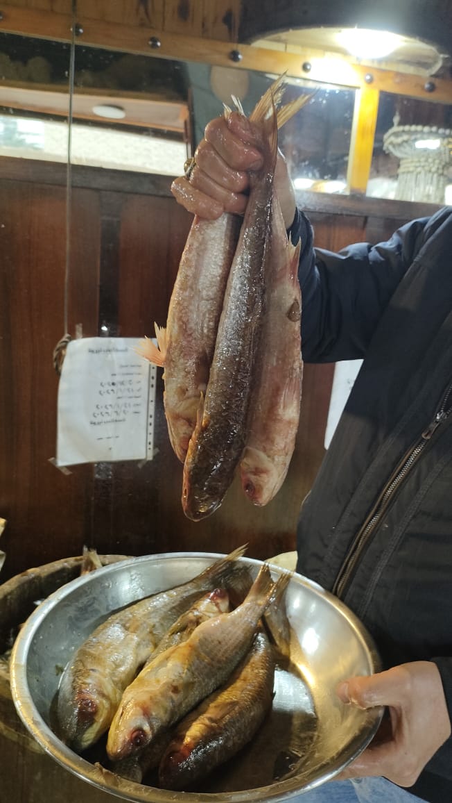 الأسماك المملحة