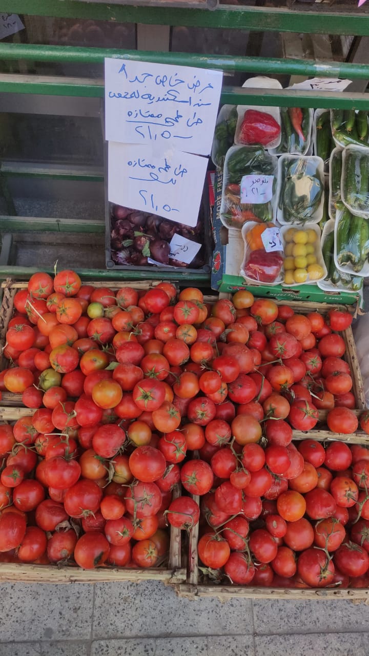 طماطم بأسعار مخفضة