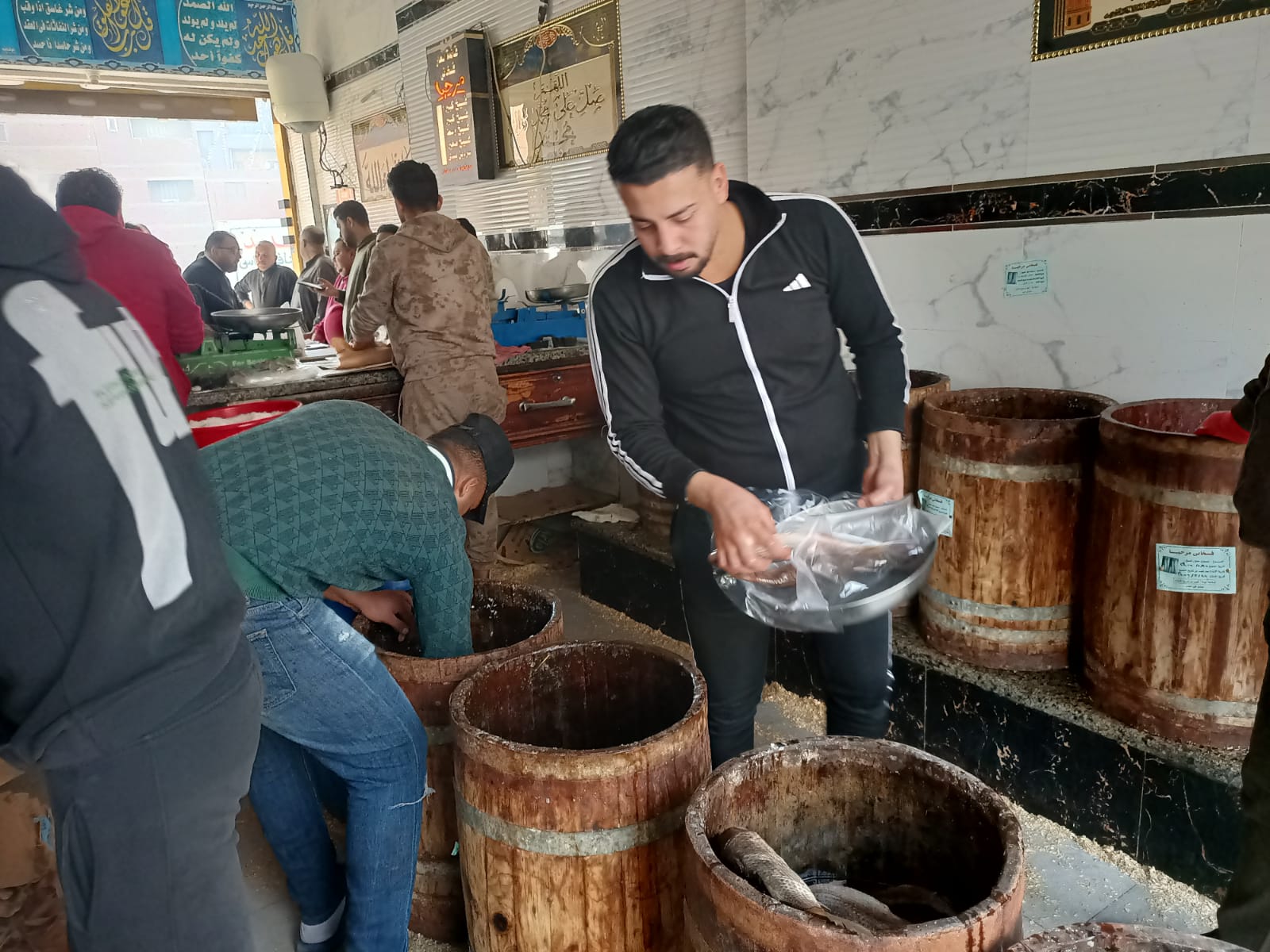 الفسيخ فى نبروه