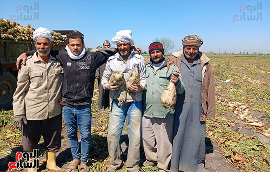 الايادى-العامة