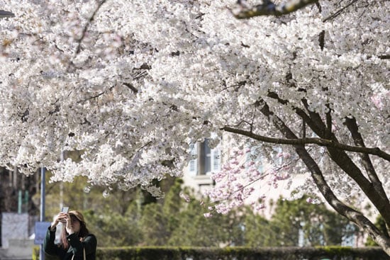 التقاط الصور التذكارية