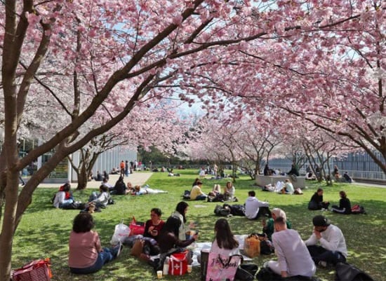 خروج السكان الى الحدائق