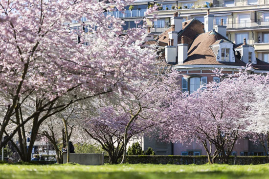 حدائق مدينة لوزان السوسرية