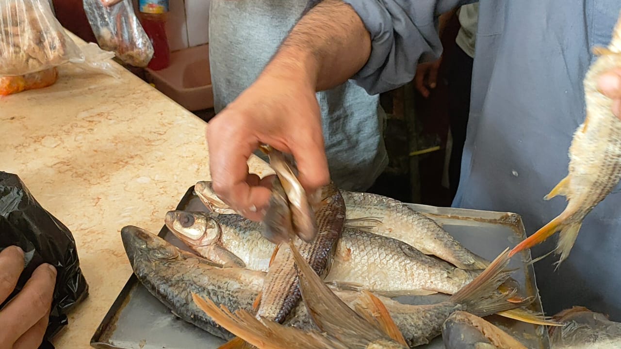 الملوحة النش أحد انواع الملوحة الملوحة النش أحد انواع الملوحة