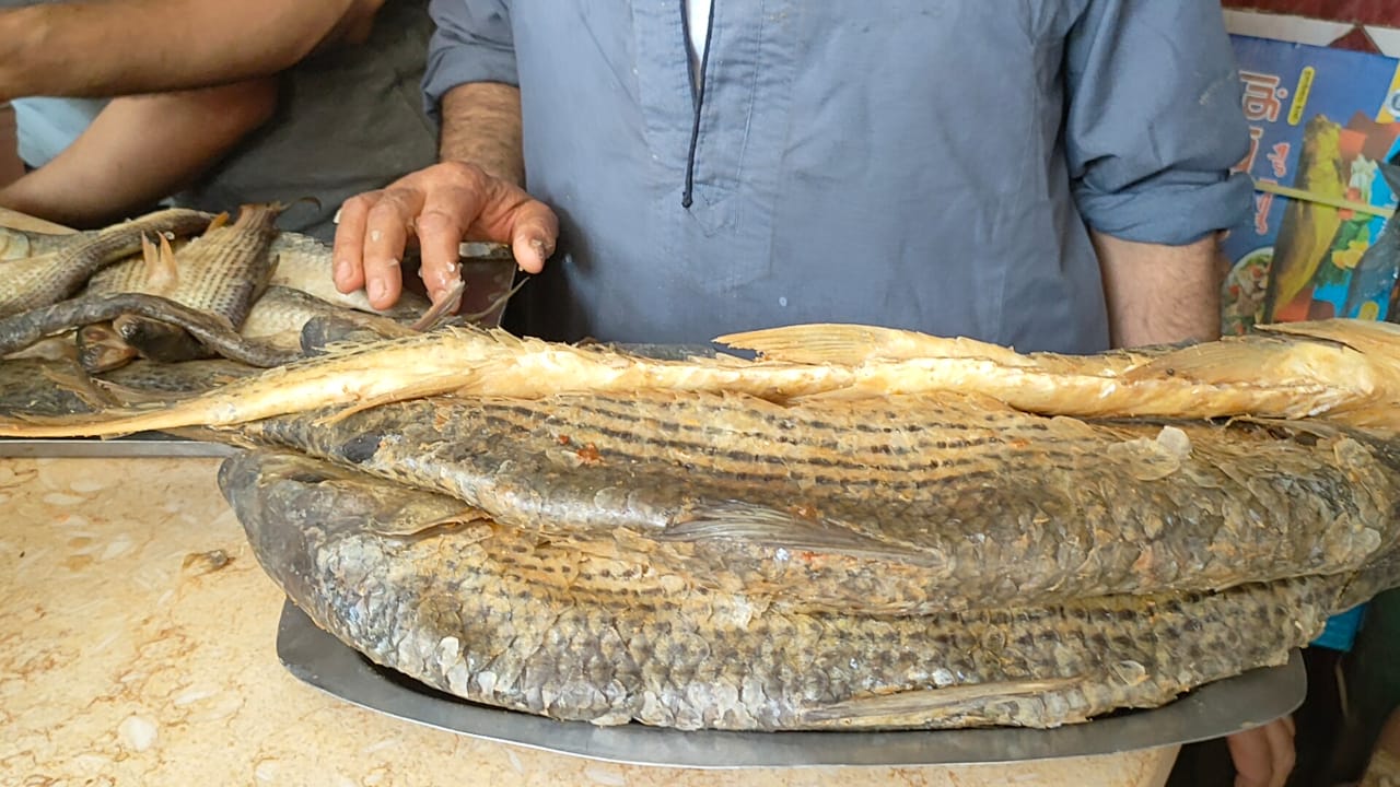 كلب البحر أو السفروت كلب البحر أو السفروت