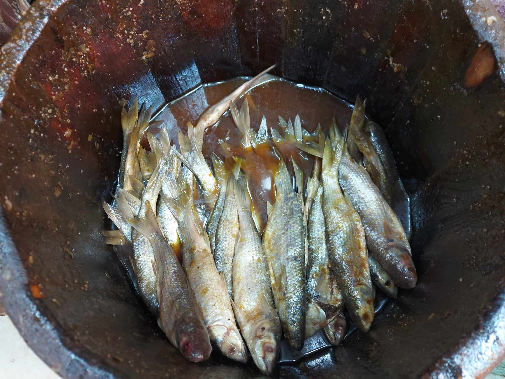 أنواع الفسيخ8