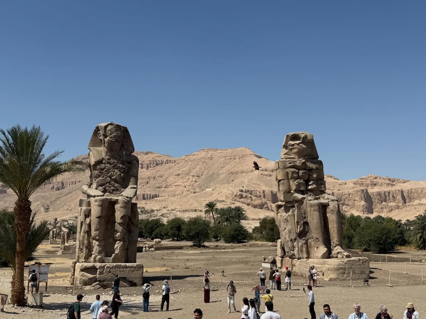 الزيارات لضيوف الأقصر بمنطقة تمثالى ممنون