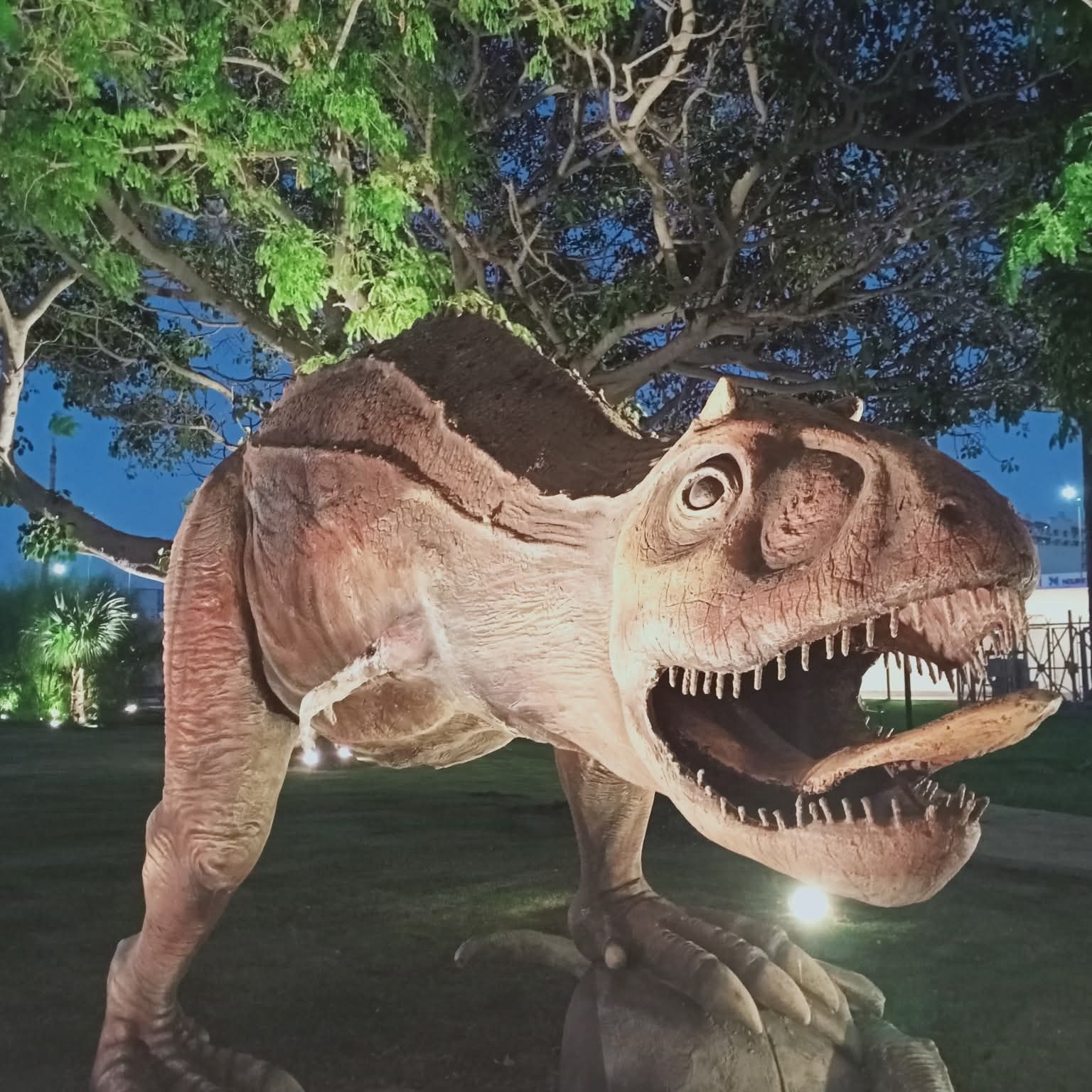 مجسمات حديقة الديناصورات مجسمات حديقة الديناصورات