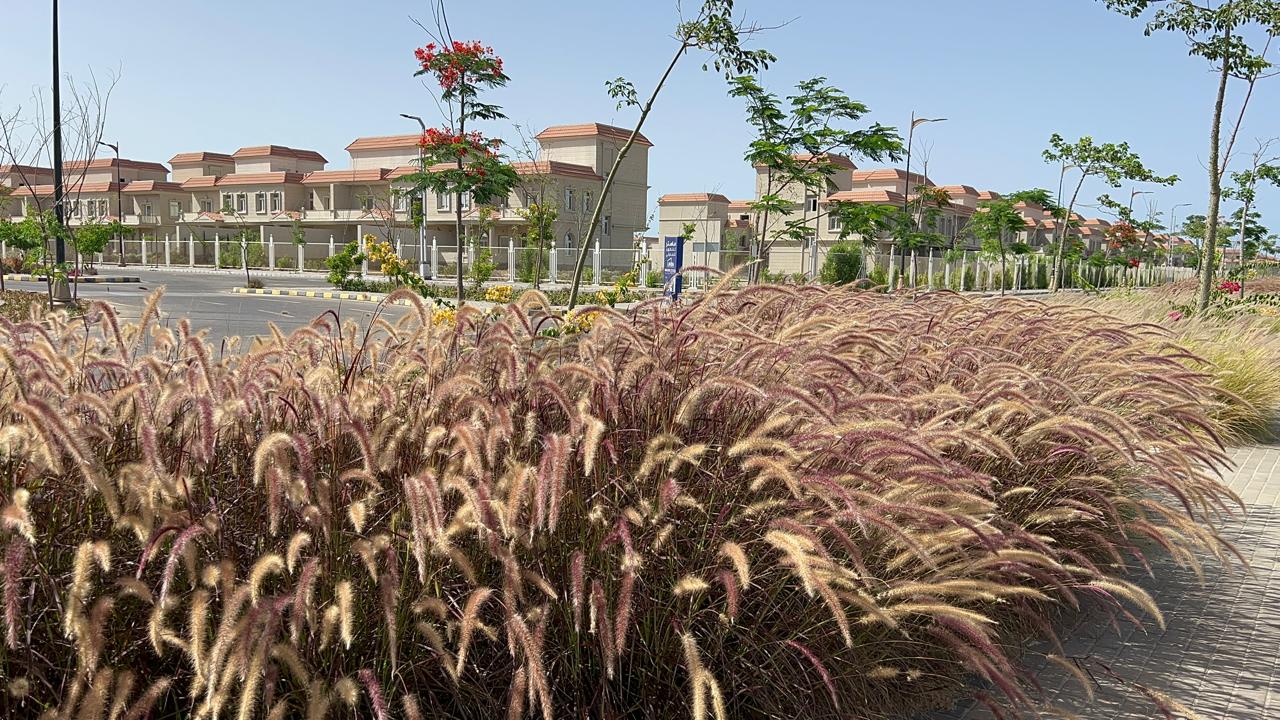 جمال المنصورة الجديدة