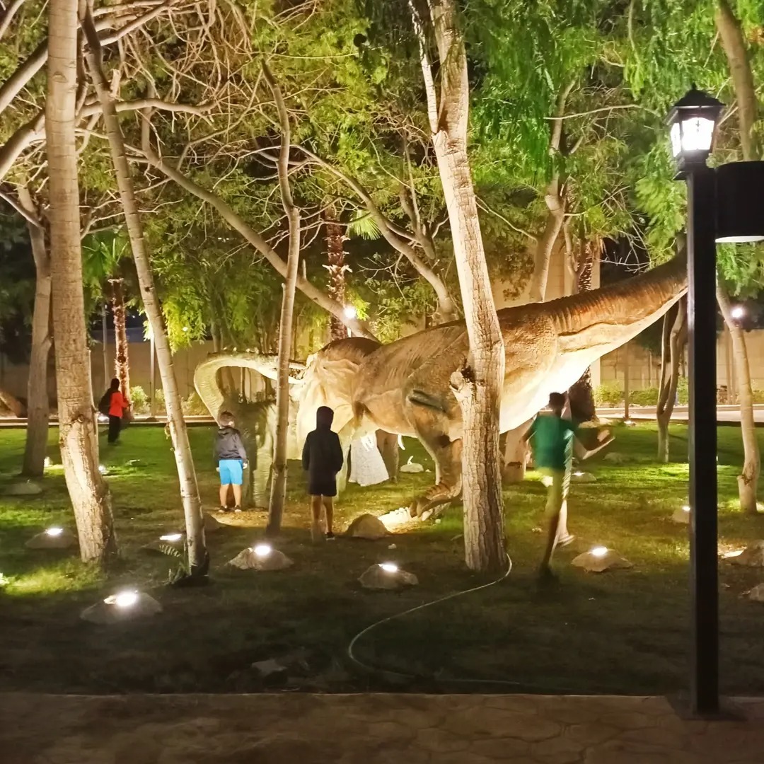 المجسمات المجسمات