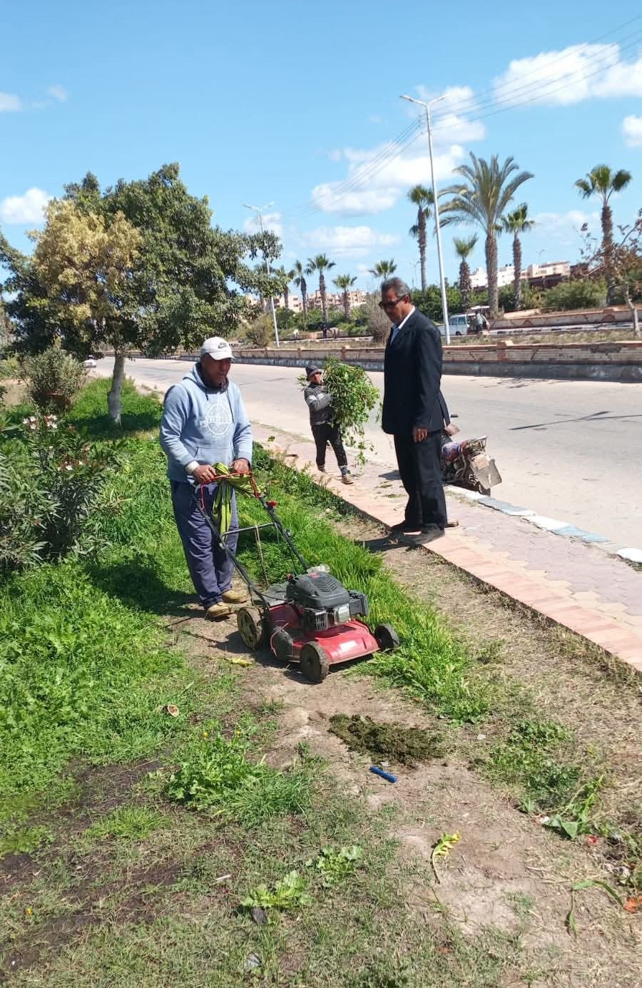 جانب من القص والتقليم