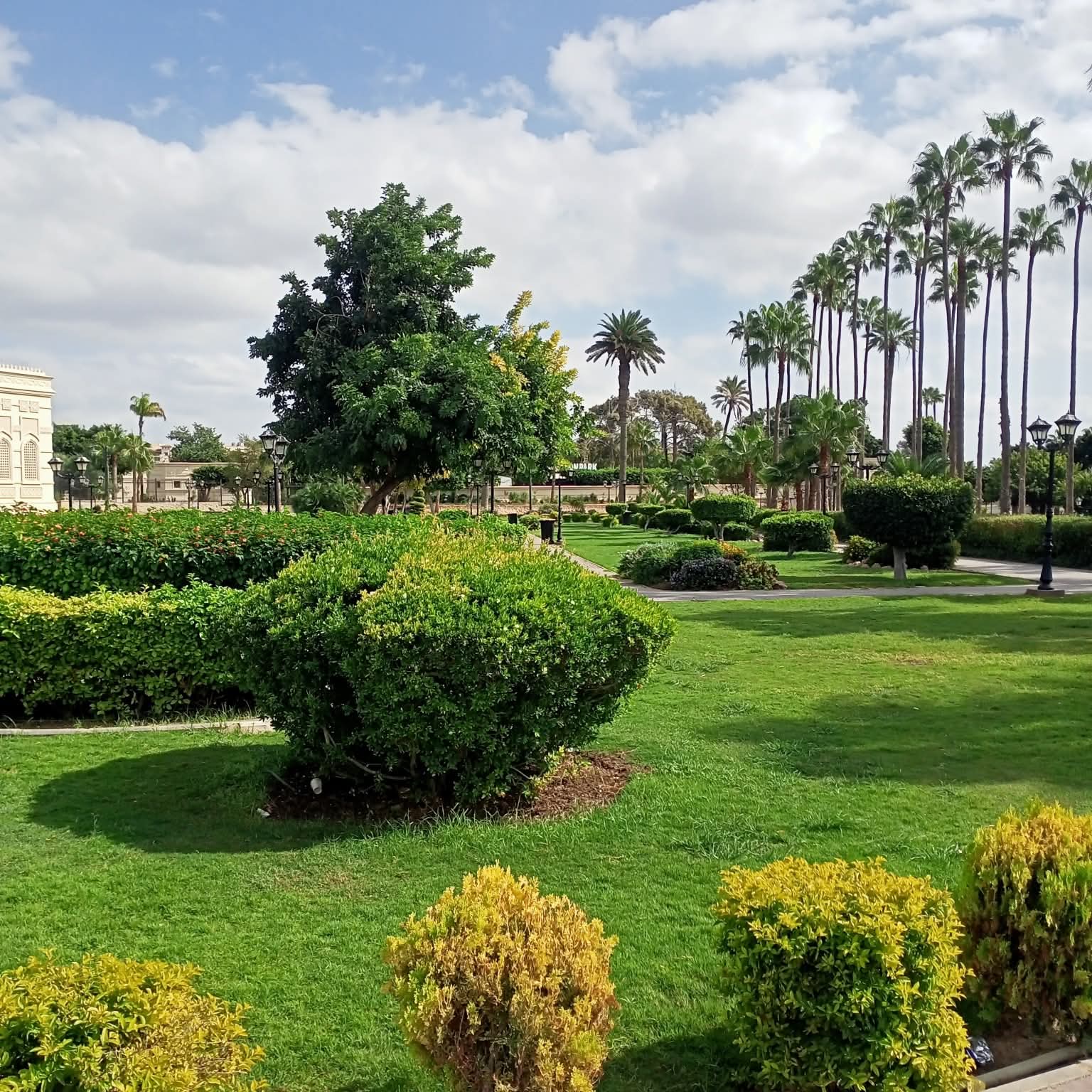 جمال حيقة انطونيادس