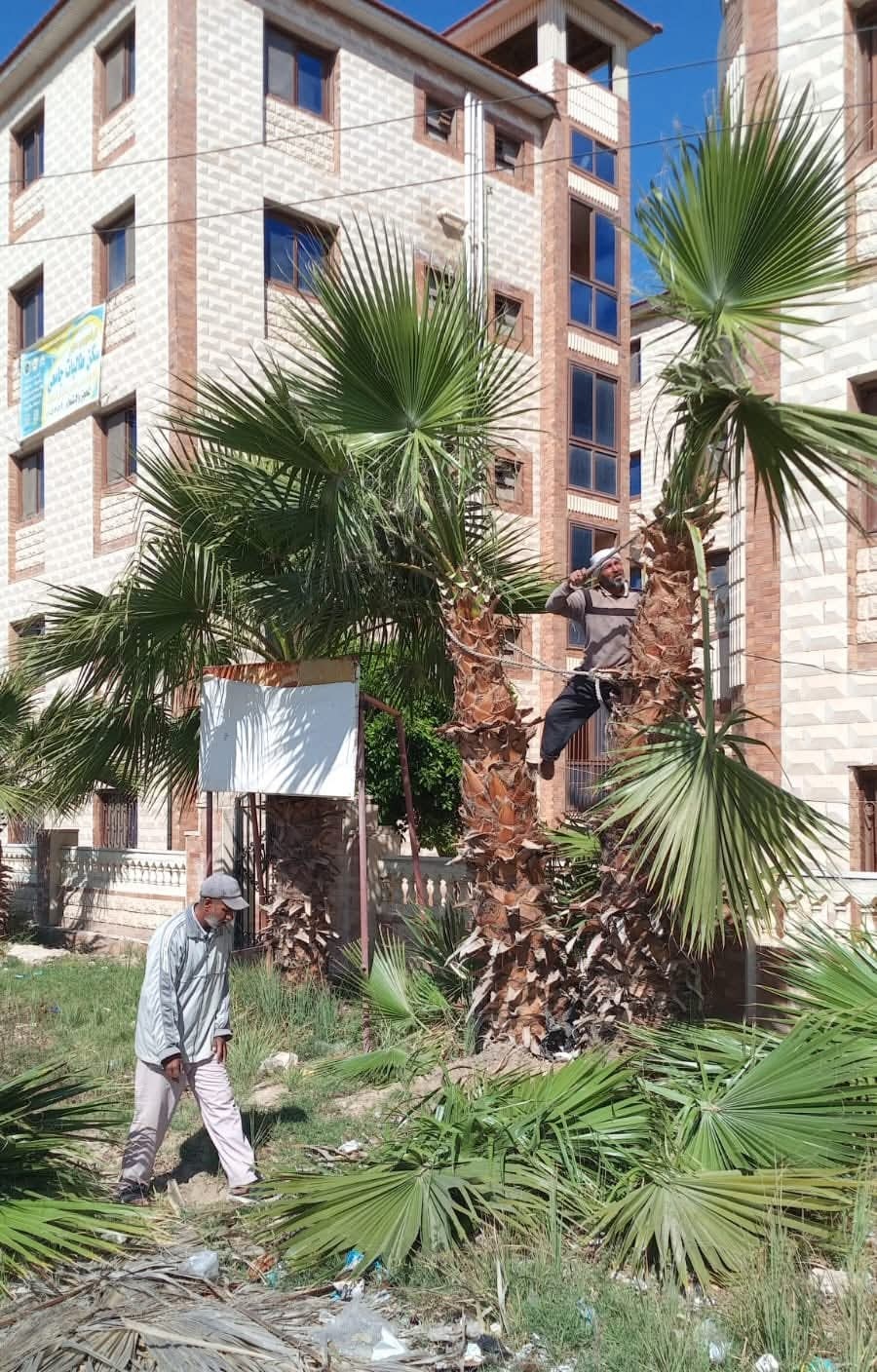 جانب من الاستعدادات