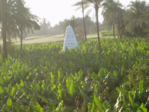أبراج الحمام داخل جزيرة الموز غرب الأقصر