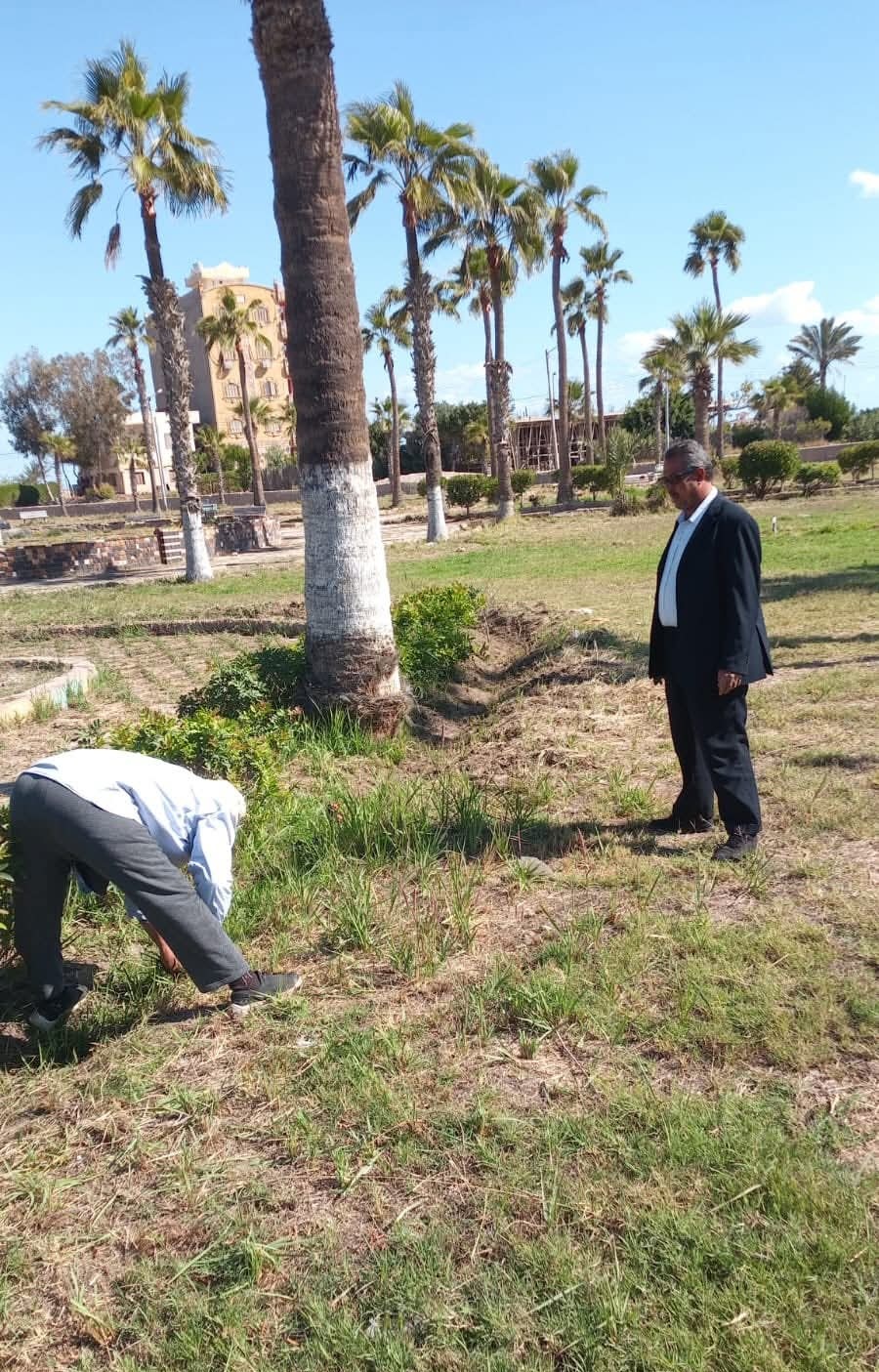 تنظيف حدائق جمصة