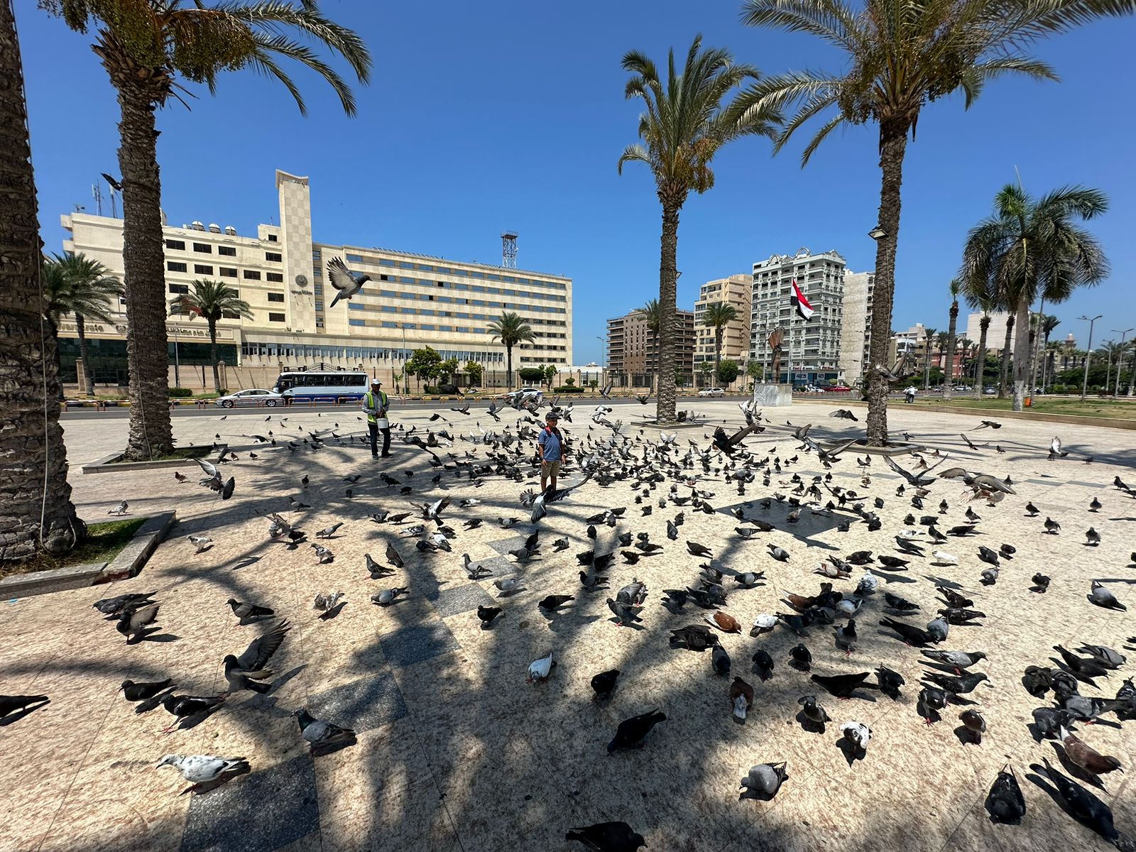 حمام ميدان الشهدا حمام ميدان الشهدا