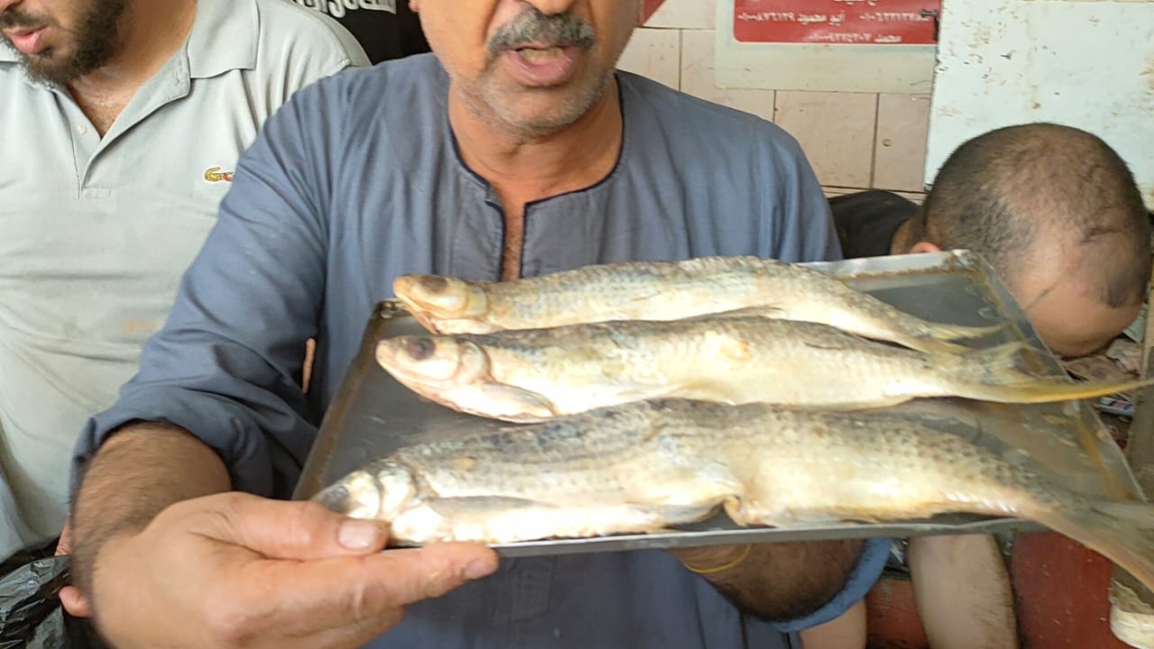 الملوحة فى سوهاج الملوحة فى سوهاج