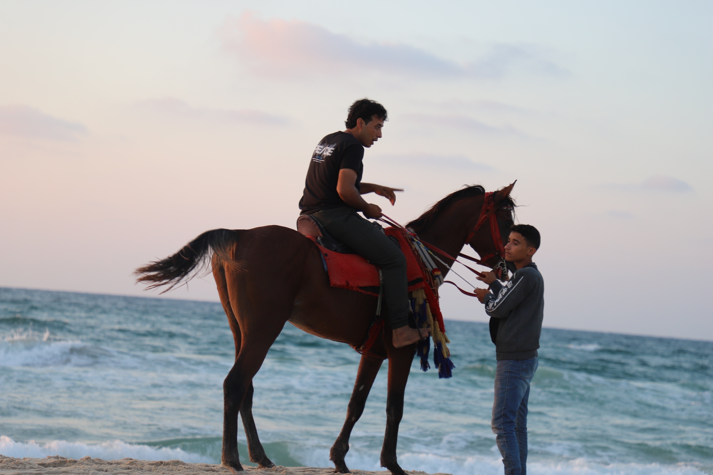 ركوب الخيل علي الشواطيء