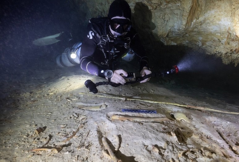 بقايا الكهوف المغمورة تكشف عن موقع دفن يعود لـ 8000 عام فى المكسيك