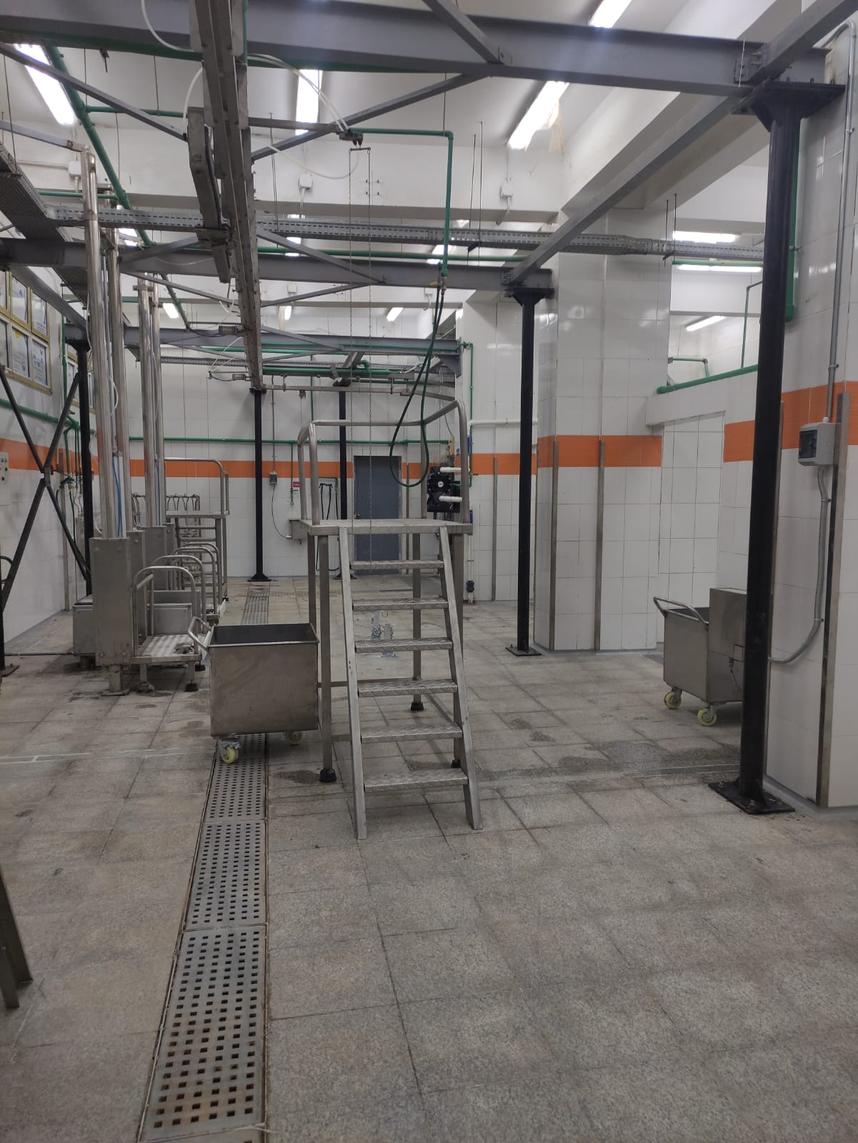 التشغيل التجريبى لمجزر سمسطا ببني سويف بتكلفة 23 مليون جنيه التشغيل التجريبى لمجزر سمسطا ببني سويف بتكلفة 23 مليون جنيه