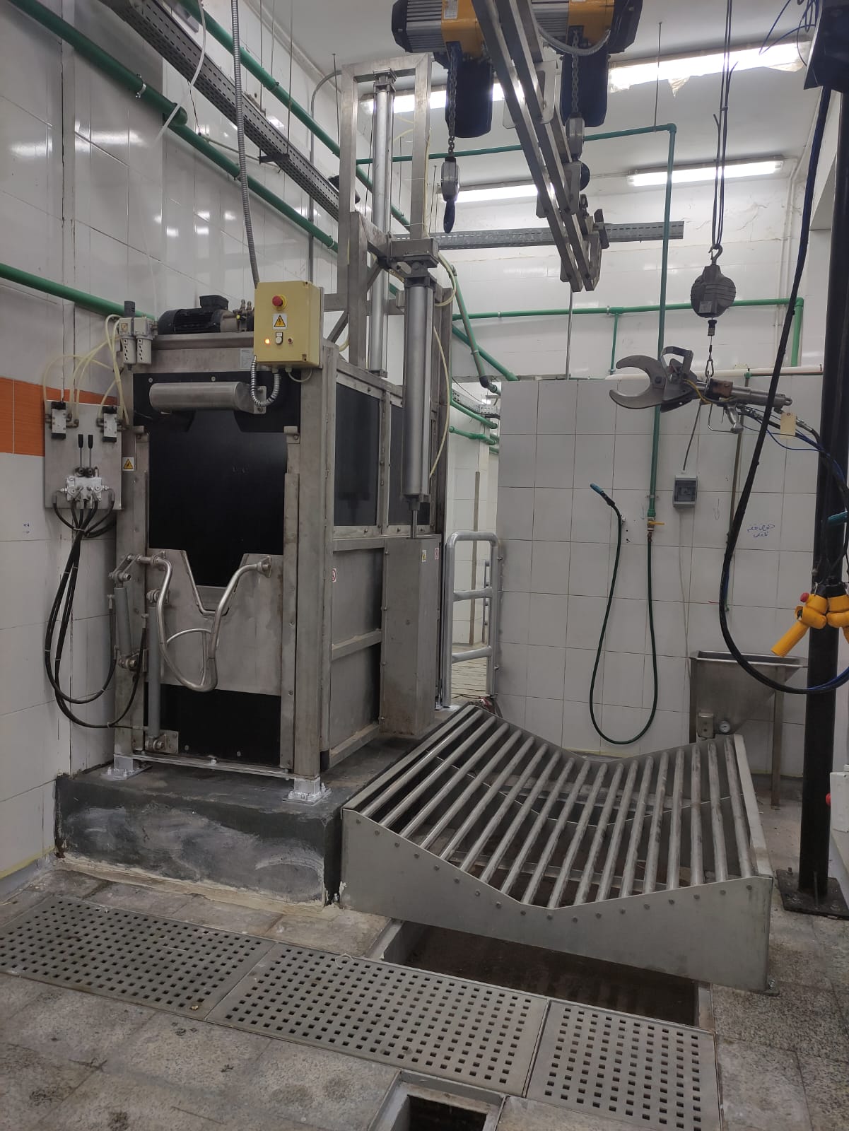 1000415462 1000415462