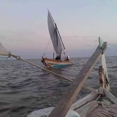 أهالي الشخلوية يعملون بالصيد أهالي الشخلوية يعملون بالصيد