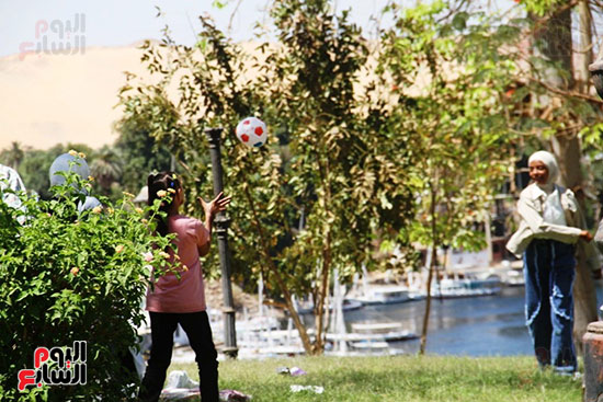 اللعب-داخل-الحديقة اللعب-داخل-الحديقة