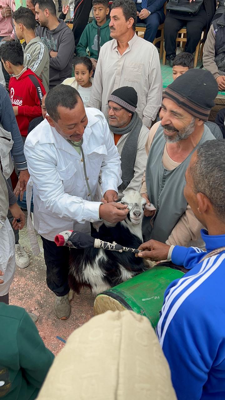 الكشف علي معزة