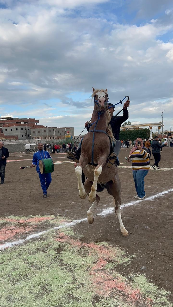 رقص بالخيل العربي في نهائي دورة الصلاحات