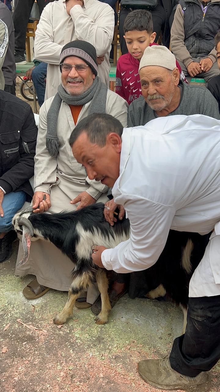 فحص معزة قبل تسليمها