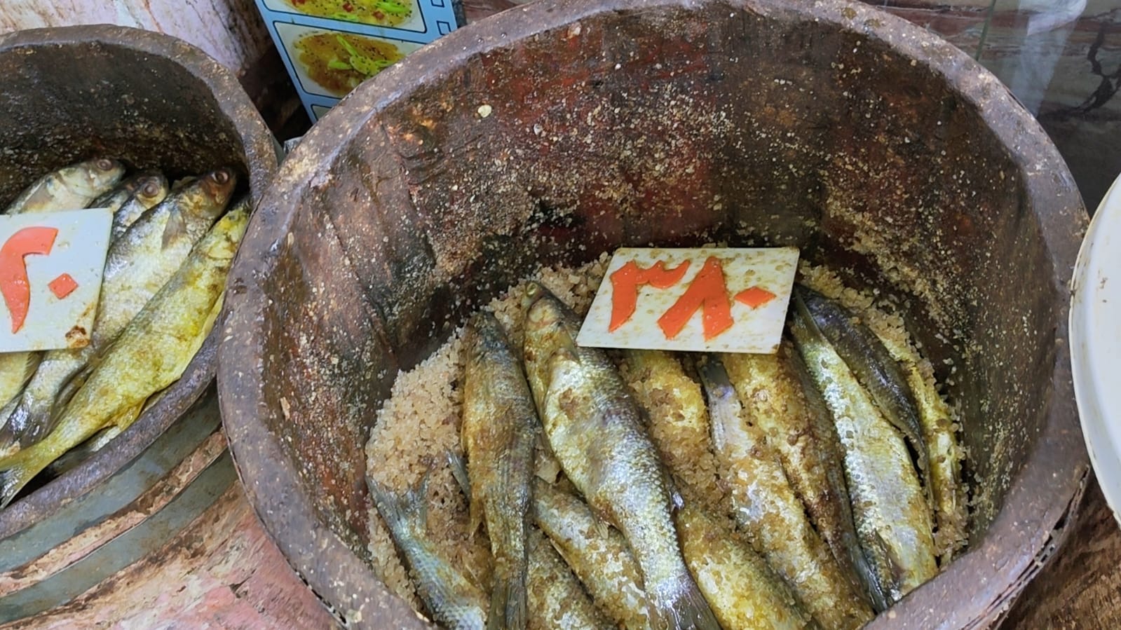 الفسيخ فى الاسكندرية