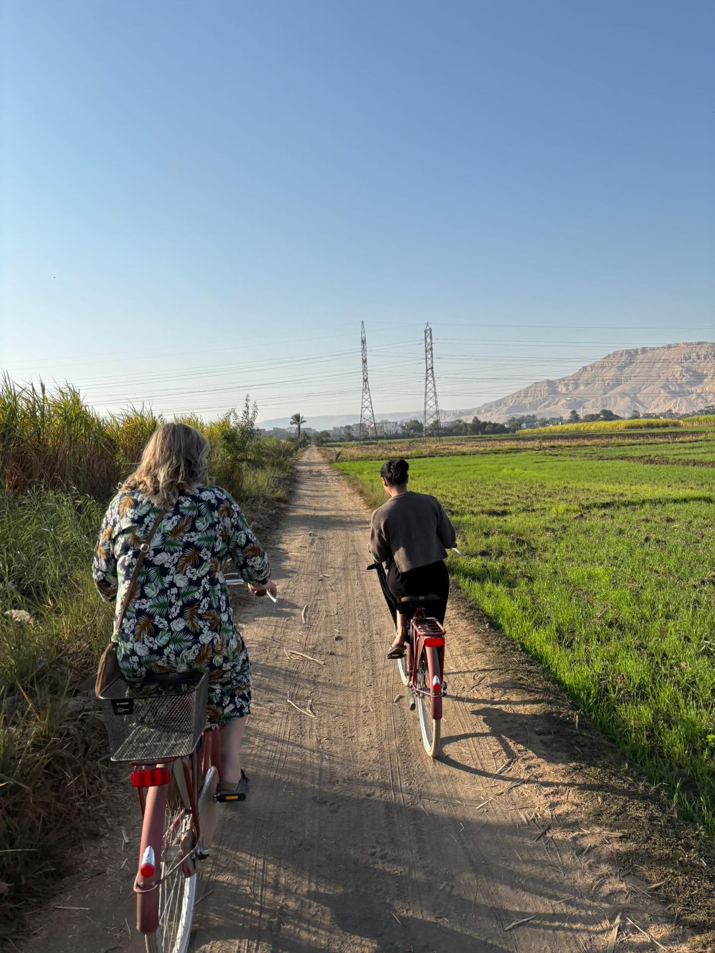 رحلات مبهجة بالدراجات بين الزراعات للاجانب