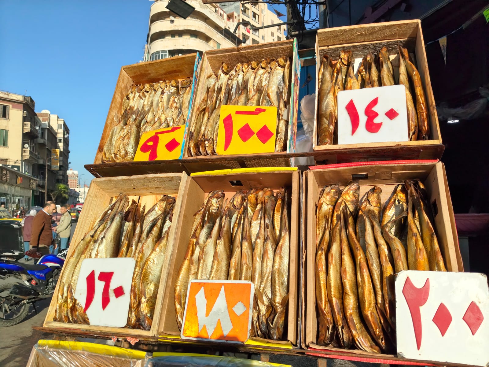 اسعار الفسيخ والرنجة