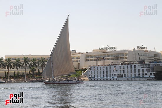 المراكب-الشراعية المراكب-الشراعية