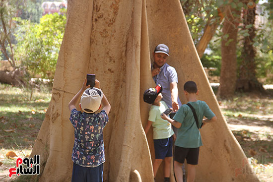 التقاط-صور-عند-الأشجار-النادرة