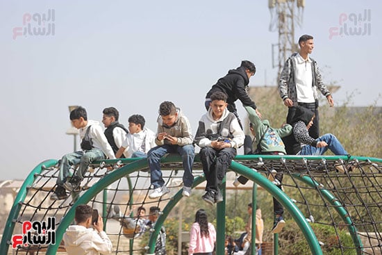 العاب مختلفة بالحديقة العاب مختلفة بالحديقة