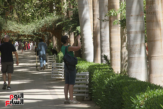 السياح-يلتقطون-الصور